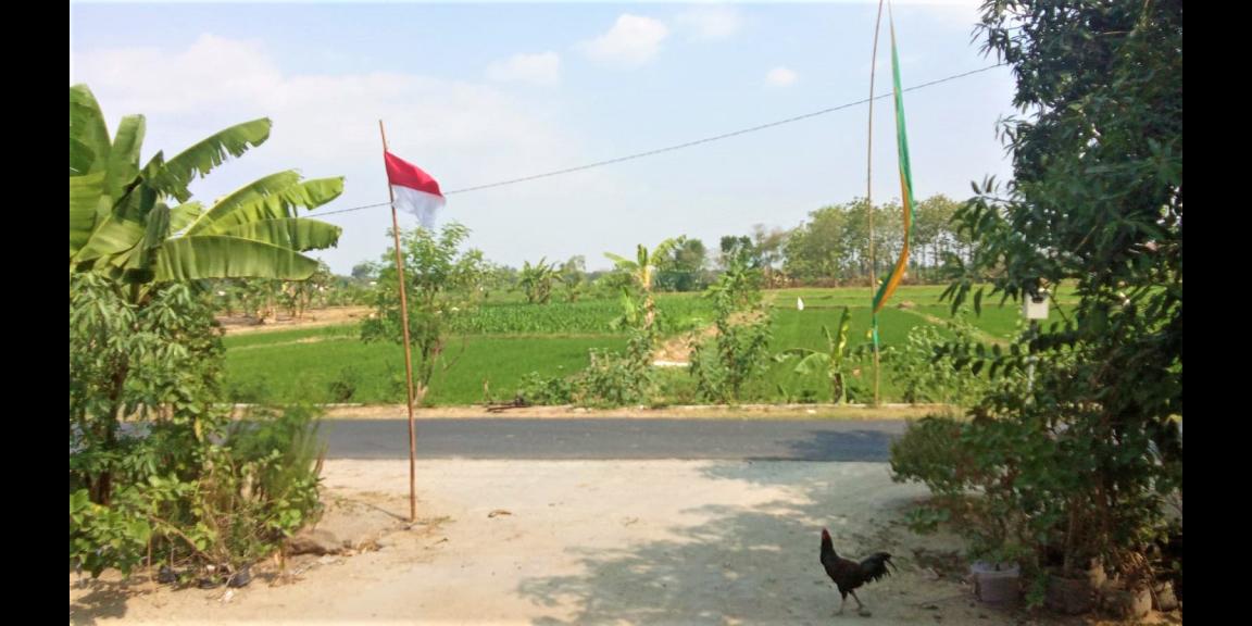 Jual Rumah Sederhana Plupuh Sragen Jual Rumah Sederhana Plupuh Sragen