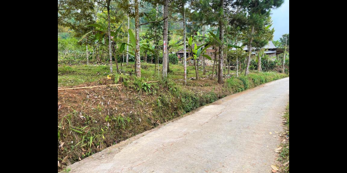 Dijual Kebun Durian Dekat Pasar Kemuning Karanganyar Dijual Kebun Durian Dekat Pasar Kemuning Karanganyar