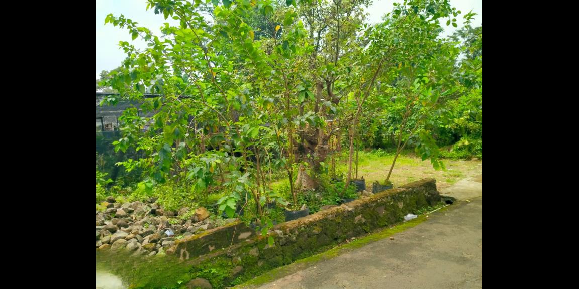 Tanah 400m2 Dekat Patung Semar Karangpandan Tanah 400m2 Dekat Patung Semar Karangpandan