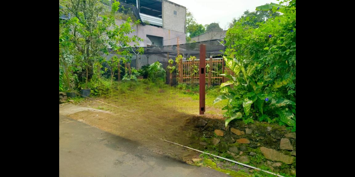 Tanah 400m2 Dekat Patung Semar Karangpandan Tanah 400m2 Dekat Patung Semar Karangpandan