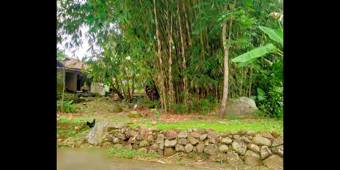 Tanah Dekat Resto Jawa Dwipa Karangpandan Karanganyar Tanah Dekat Resto Jawa Dwipa Karangpandan Karanganyar