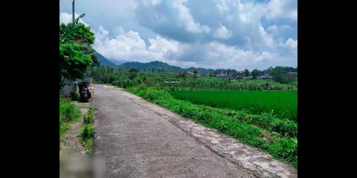 Tanah 2500m2 cocok dibangun villa Karangpandan Karanganyar Tanah 2500m2 cocok dibangun villa Karangpandan Karanganyar