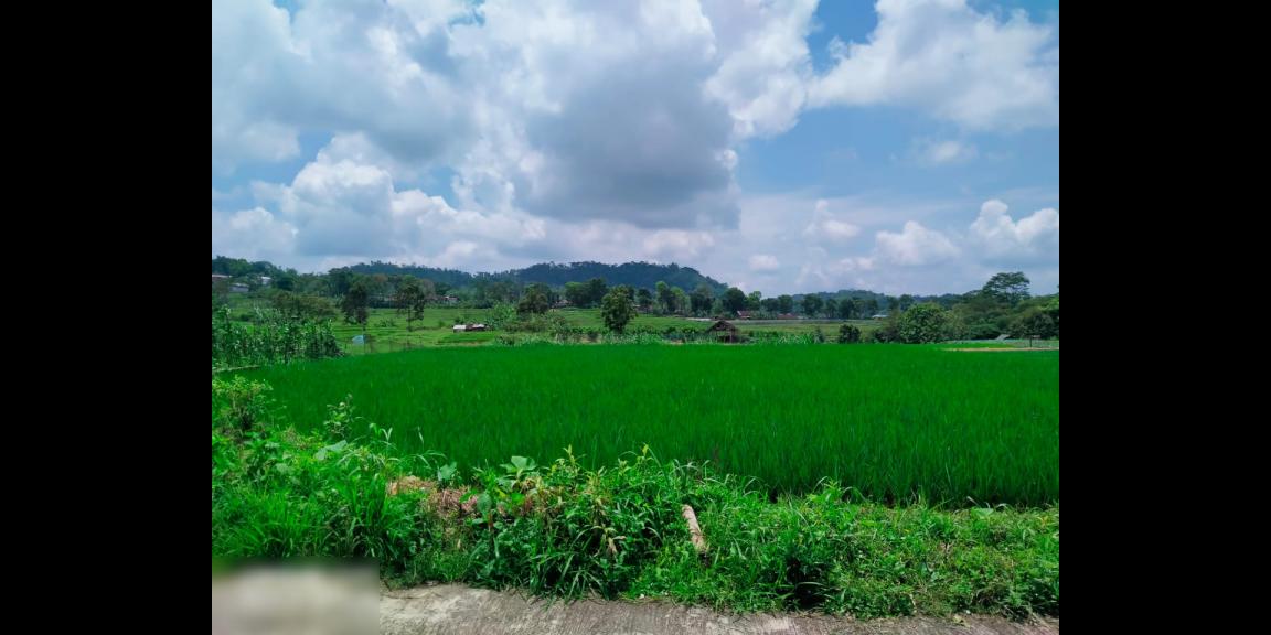 Tanah 2500m2 cocok dibangun villa Karangpandan Karanganyar Tanah 2500m2 cocok dibangun villa Karangpandan Karanganyar