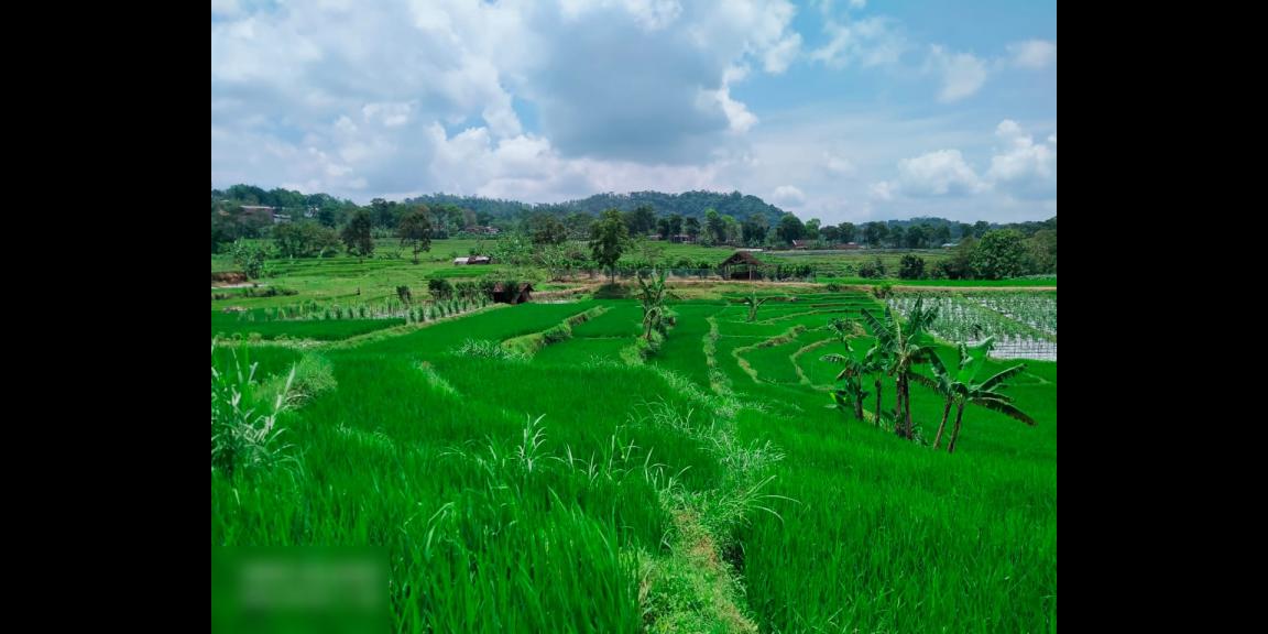 Tanah 2500m2 cocok dibangun villa Karangpandan Karanganyar Tanah 2500m2 cocok dibangun villa Karangpandan Karanganyar