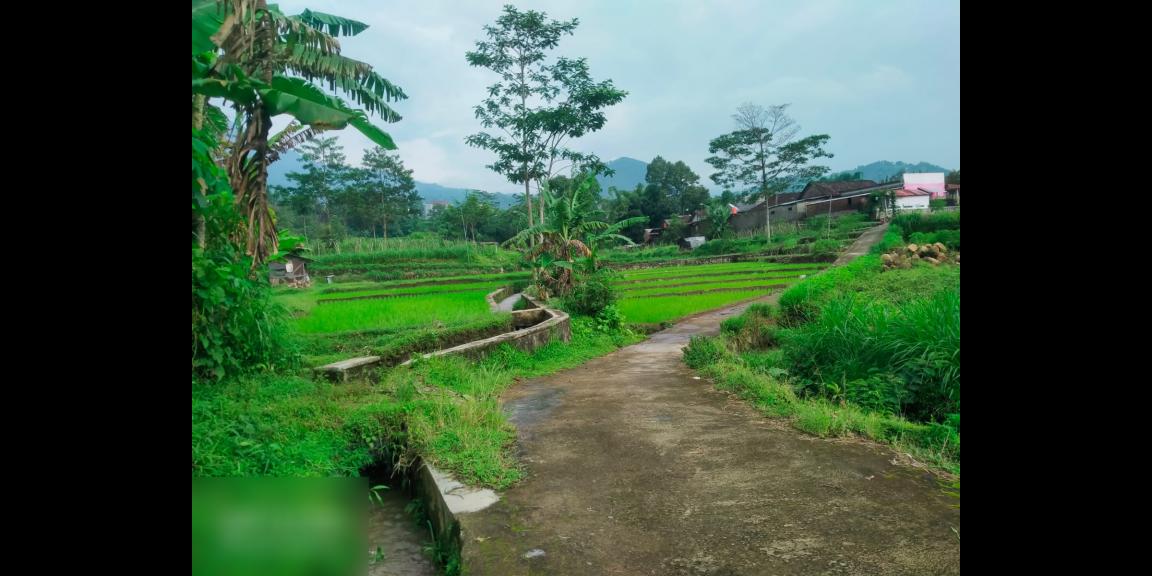 Dijual Tanah Dekat Agro Wisata Amanah Karangpandan Dijual Tanah Dekat Agro Wisata Amanah Karangpandan