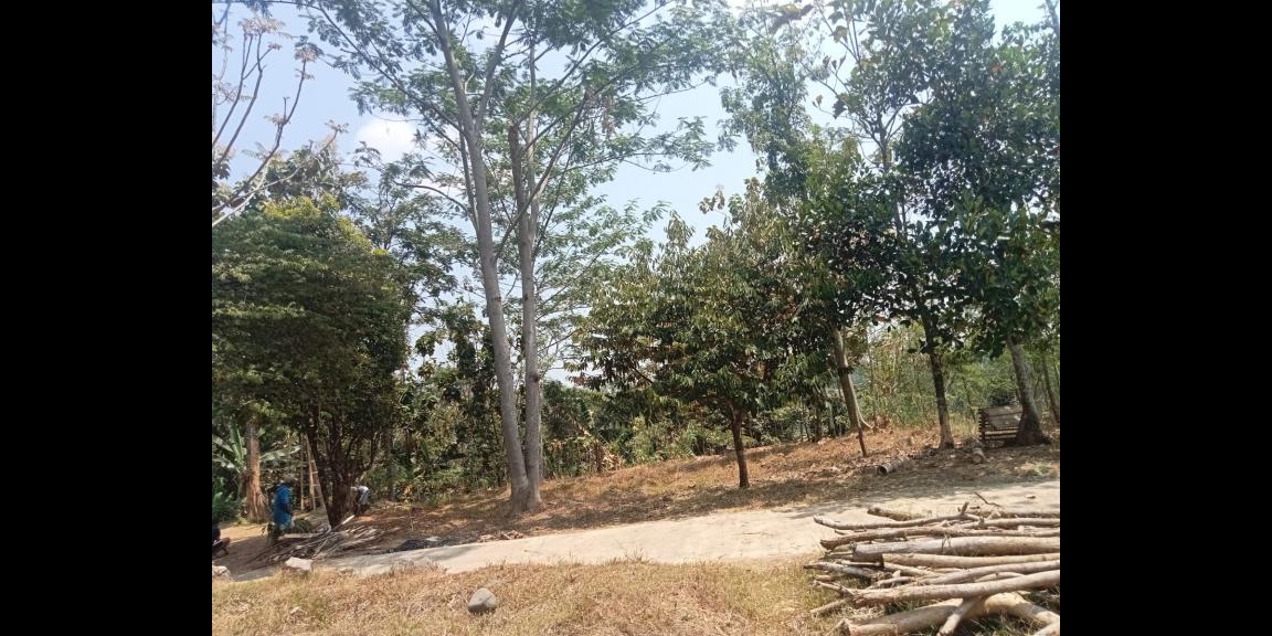 Tanah 900m2 hanya 150 Juta Ngargoyoso Karanganyar Tanah 900m2 hanya 150 Juta Ngargoyoso Karanganyar