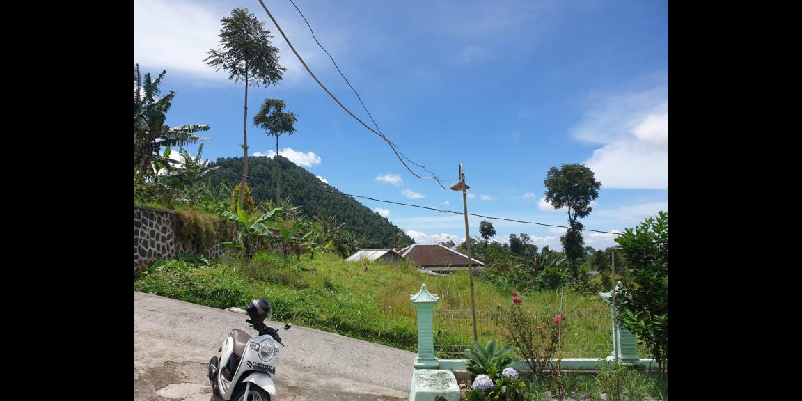 Tanah Datar 862m² Kemuning Ngargoyoso Tanah Datar 862m² Kemuning Ngargoyoso