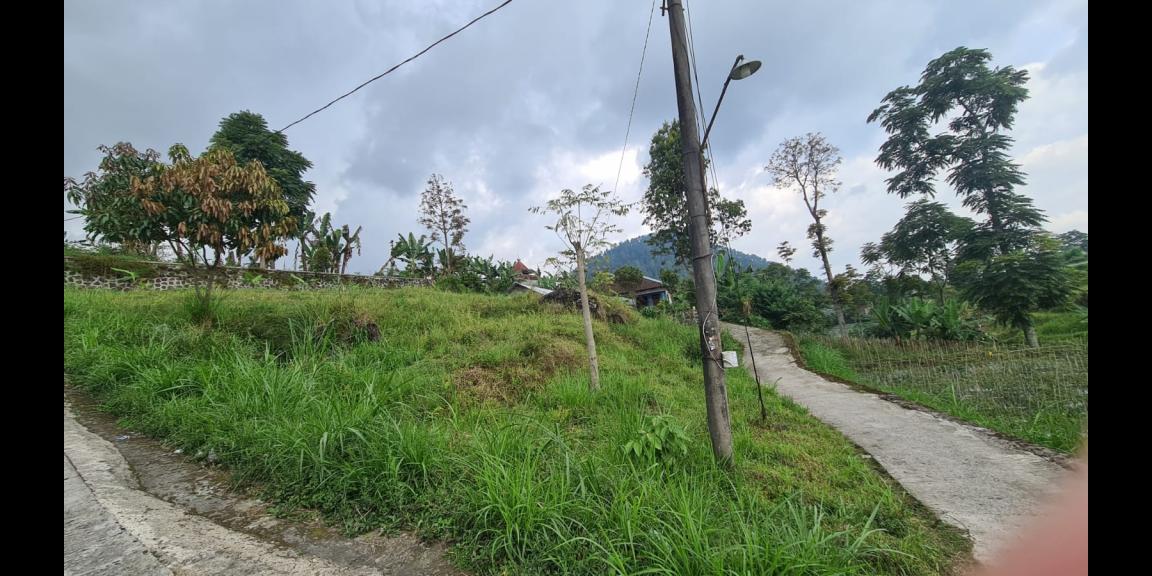 Tanah Datar 862m² Kemuning Ngargoyoso Tanah Datar 862m² Kemuning Ngargoyoso