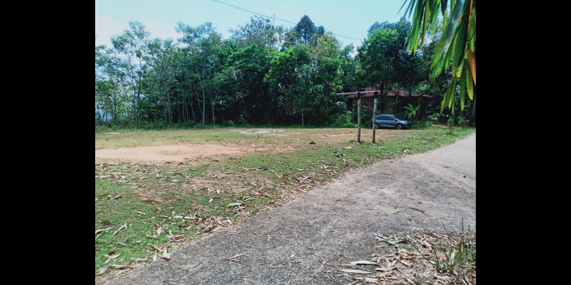 Tanah 3,7 Hektar dekat Pasar Karangpandan, Karanganyar Tanah 3,7 Hektar dekat Pasar Karangpandan, Karanganyar