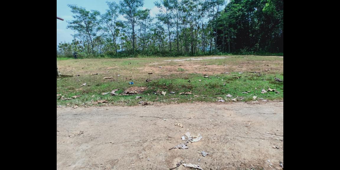 Tanah 3,7 Hektar dekat Pasar Karangpandan, Karanganyar Tanah 3,7 Hektar dekat Pasar Karangpandan, Karanganyar