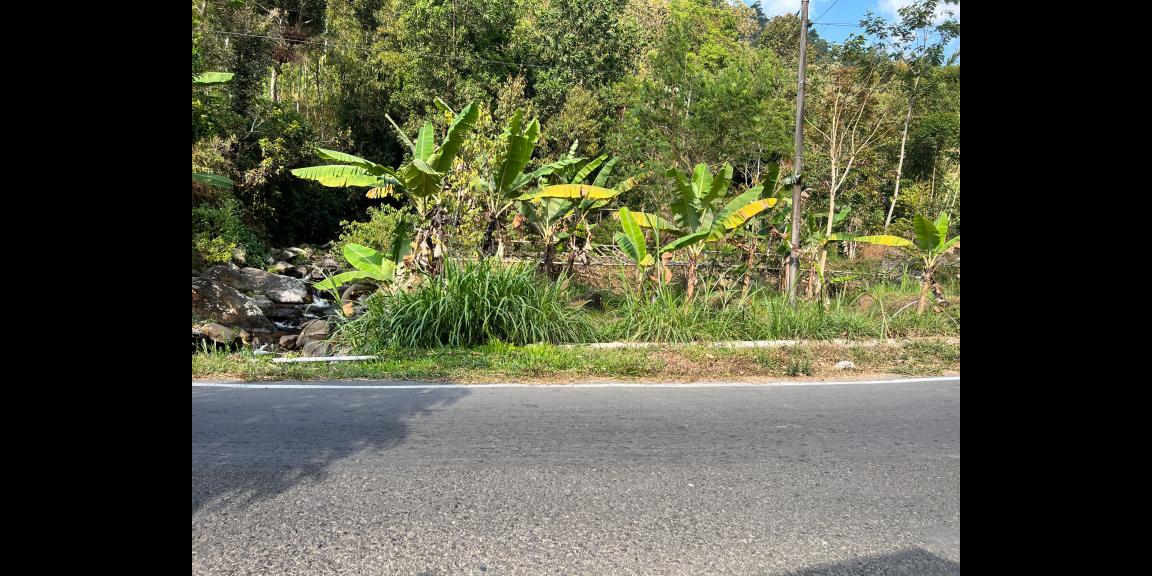 Tanah Utara Candi Cetho & Jembatan Kaca Kemuning Karanganyar Tanah Utara Candi Cetho & Jembatan Kaca Kemuning Karanganyar