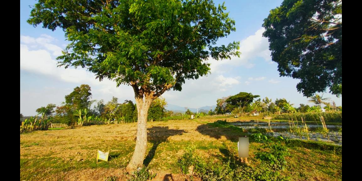 Dijual Tanah 2967m² Jln DPU Matesih Karanganyar Dijual Tanah 2967m² Jln DPU Matesih Karanganyar