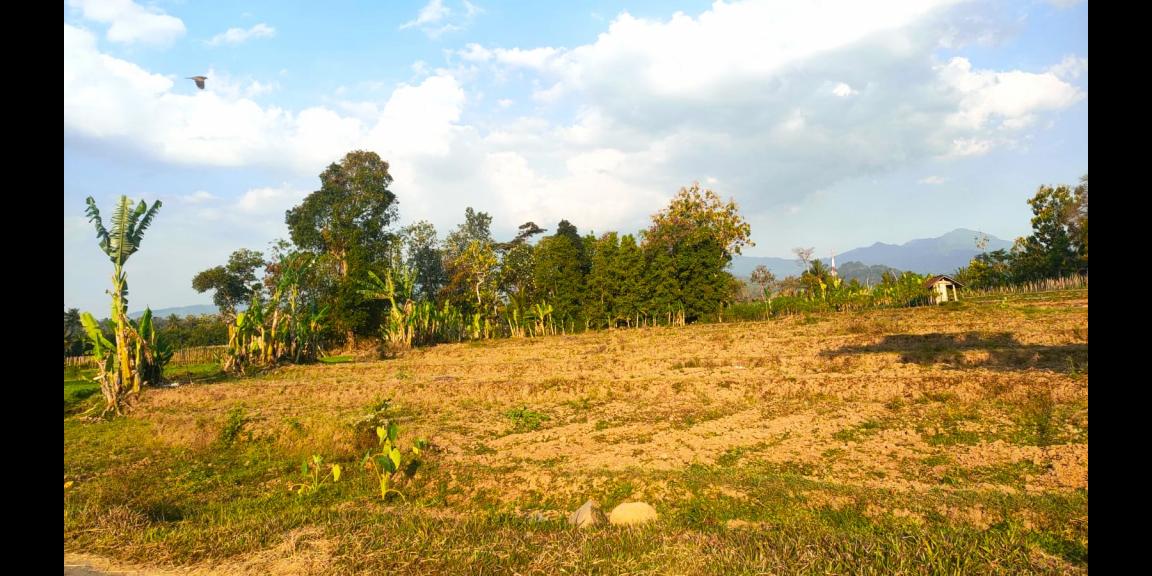 Dijual Tanah 2967m² Jln DPU Matesih Karanganyar Dijual Tanah 2967m² Jln DPU Matesih Karanganyar