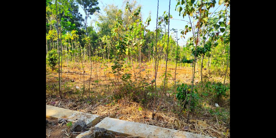 Tanah Datar Siap Bangun 5350m2 Karanganyar Tanah Datar Siap Bangun 5350m2 Karanganyar