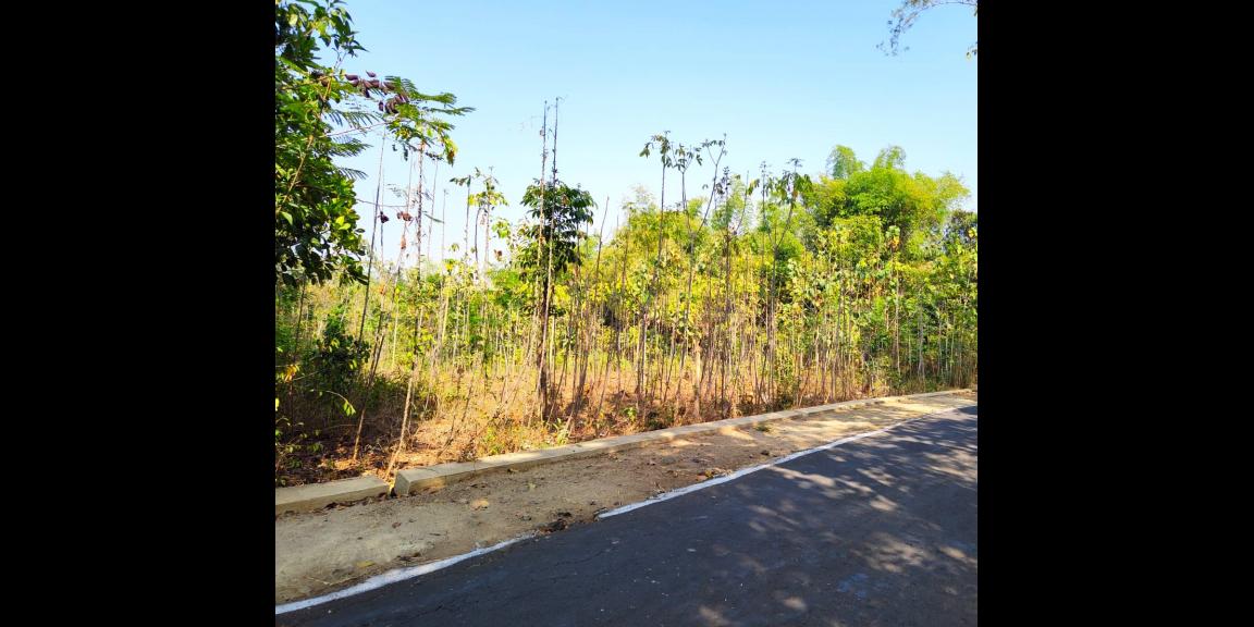 Tanah Datar Siap Bangun 5350m2 Karanganyar Tanah Datar Siap Bangun 5350m2 Karanganyar