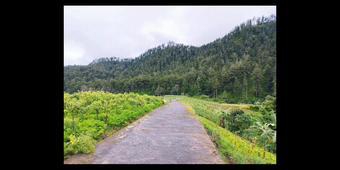 Tanah Kota Wisata Tawangmangu Karanganyar Tanah Kota Wisata Tawangmangu Karanganyar