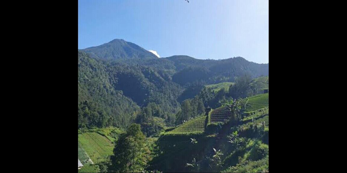 Tanah Kota Wisata Tawangmangu Karanganyar Tanah Kota Wisata Tawangmangu Karanganyar