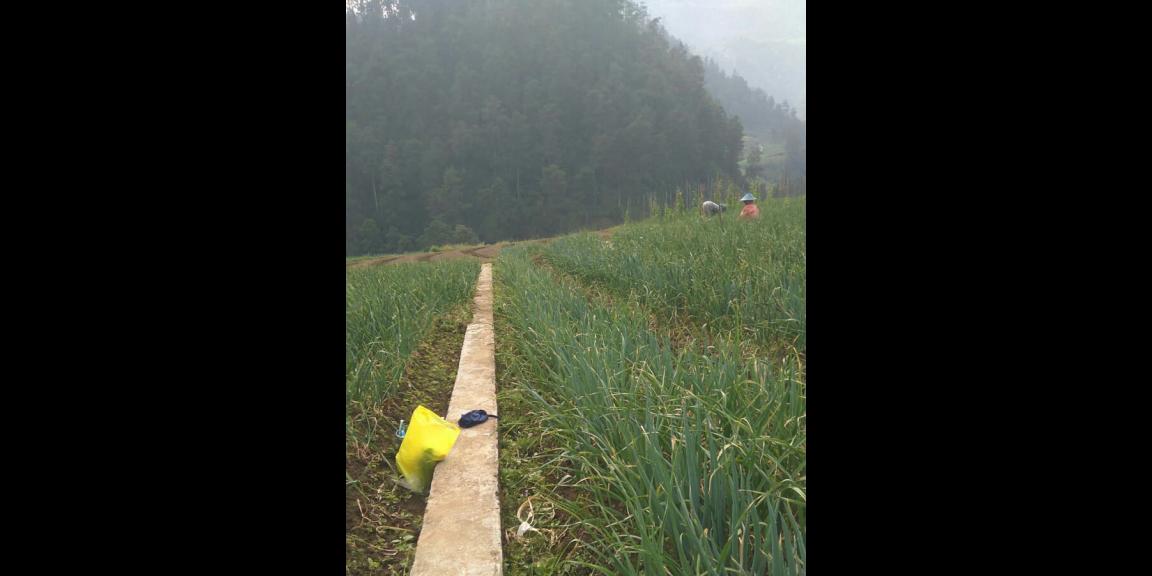 Tanah Kota Wisata Tawangmangu Karanganyar Tanah Kota Wisata Tawangmangu Karanganyar