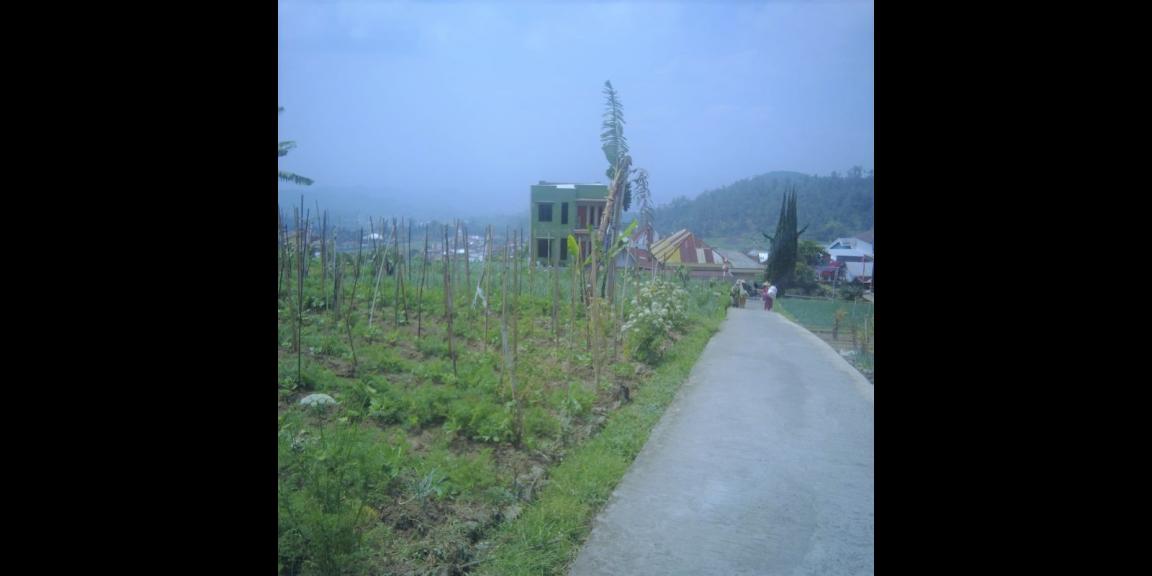 Tanah Udara Dingin 300m² Tawangmangu Karanganyar Tanah Udara Dingin 300m² Tawangmangu Karanganyar