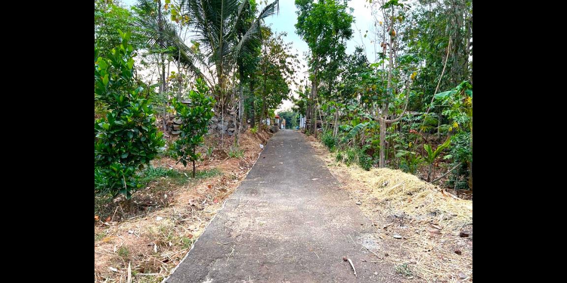 Dijual Sawah Timur Terminal Batujamus Karanganyar Dijual Sawah Timur Terminal Batujamus Karanganyar