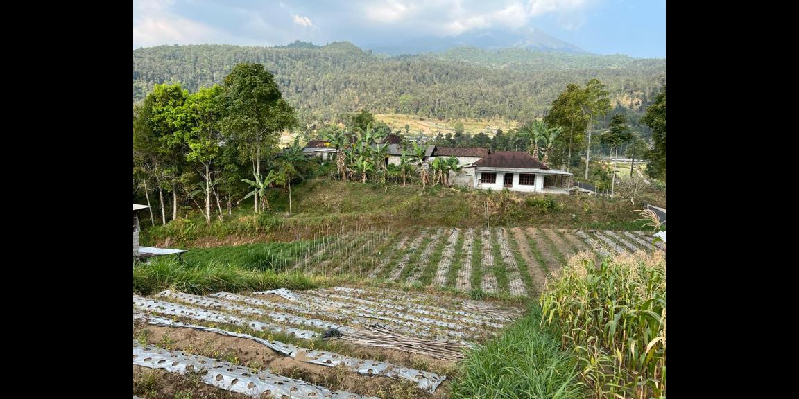 Tanah 240m² Dekat Telaga Madirda Kemuning Tanah 240m² Dekat Telaga Madirda Kemuning