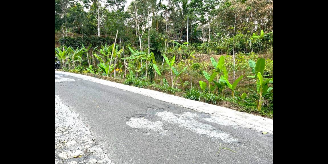 Tanah Pekarangan 2452m² Ngargoyoso karanganyar Tanah Pekarangan 2452m² Ngargoyoso karanganyar