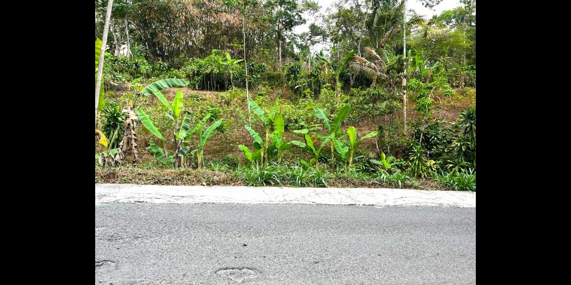 Tanah Pekarangan 2452m² Ngargoyoso karanganyar Tanah Pekarangan 2452m² Ngargoyoso karanganyar