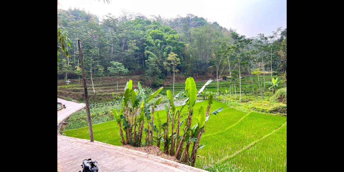Tanah Siap Dibangun Villa Tawangmangu Karanganyar Tanah Siap Dibangun Villa Tawangmangu Karanganyar