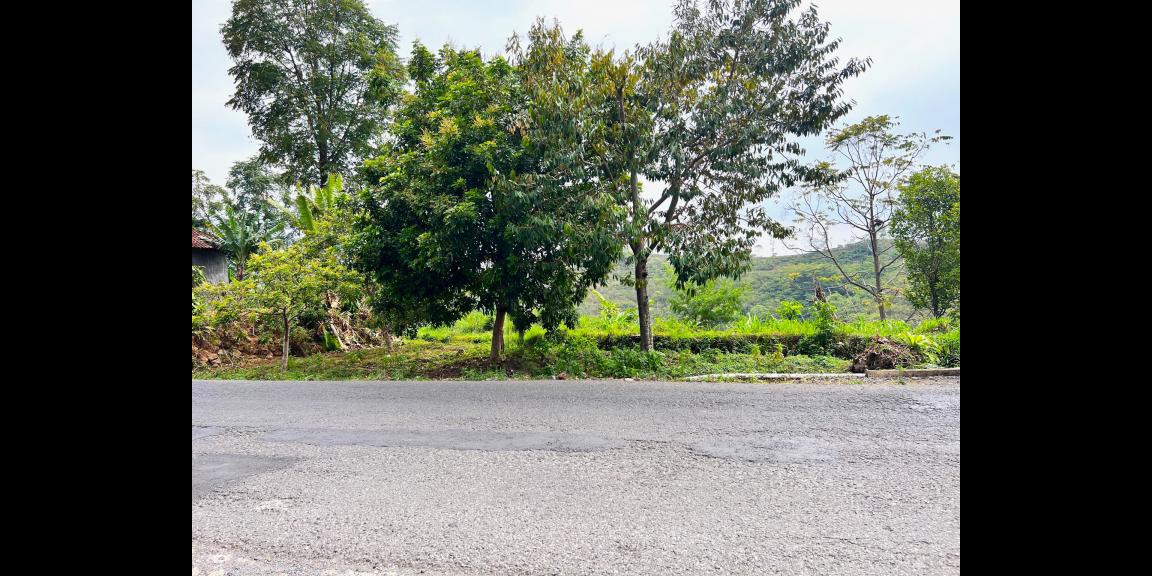 Tanah View Kebun Teh Jln Raya Kemuning Tanah View Kebun Teh Jln Raya Kemuning