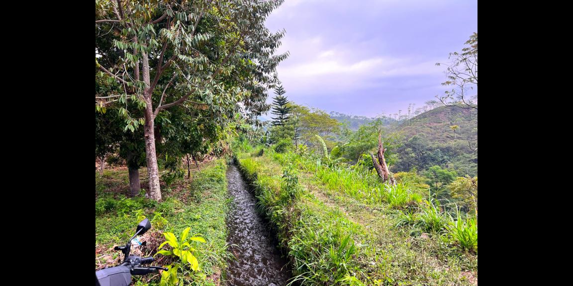 Tanah View Kebun Teh Jln Raya Kemuning Tanah View Kebun Teh Jln Raya Kemuning