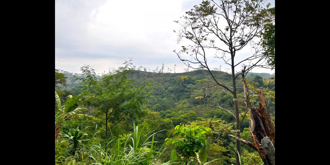 Tanah View Kebun Teh Jln Raya Kemuning Tanah View Kebun Teh Jln Raya Kemuning