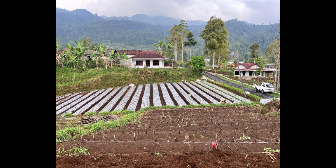 Tanah Istimewa 125 Juta Kemuning Karanganyar Tanah Istimewa 125 Juta Kemuning Karanganyar