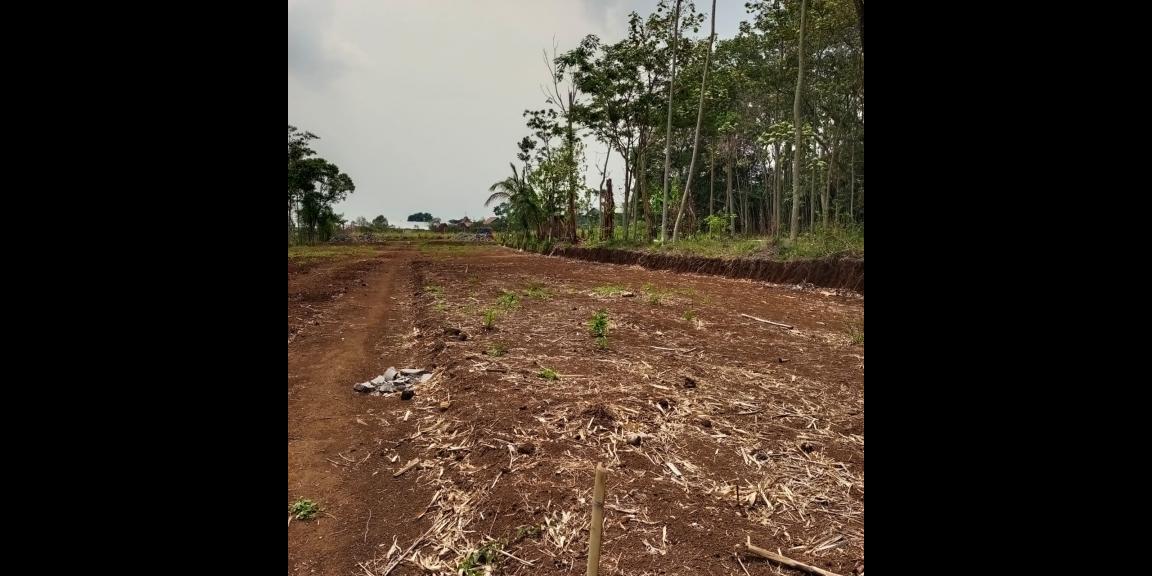 KAVLING TANAH MURAH, STRATEGIS, DENGAN PEMANDANGAN CANTIK DI SINGOSARI MALANG KAVLING TANAH MURAH, STRATEGIS, DENGAN PEMANDANGAN CANTIK DI SINGOSARI MALANG