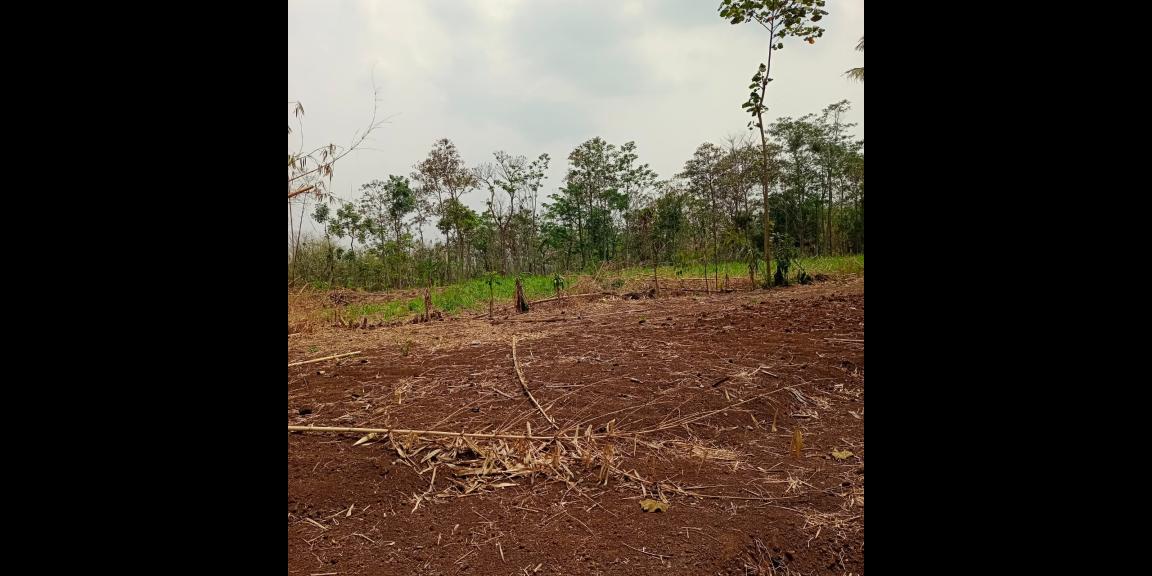 KAVLING TANAH MURAH, STRATEGIS, DENGAN PEMANDANGAN CANTIK DI SINGOSARI MALANG KAVLING TANAH MURAH, STRATEGIS, DENGAN PEMANDANGAN CANTIK DI SINGOSARI MALANG