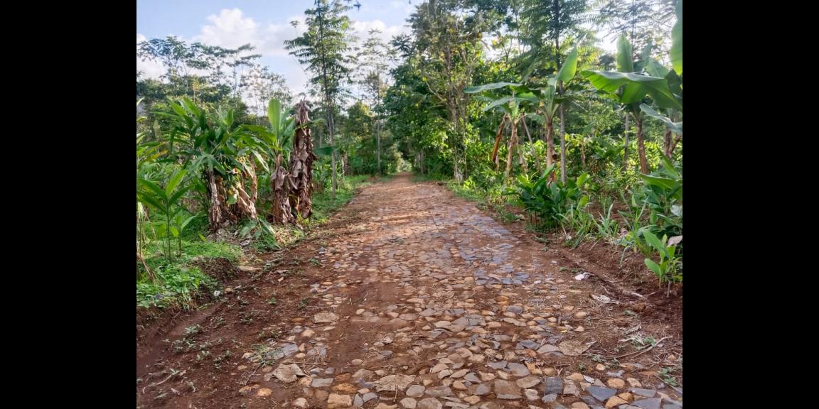 Tanah Murah 99 Juta Dekat Candi Cetho Kemuning Tanah Murah 99 Juta Dekat Candi Cetho Kemuning