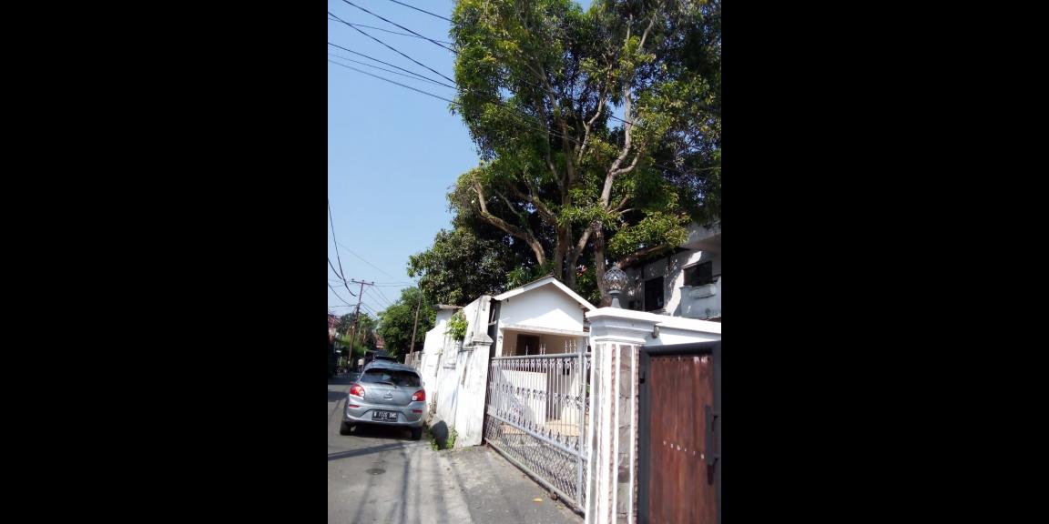 Dikontrakkan Rumah di Ragunan Jakarta Selatan Dikontrakkan Rumah di Ragunan Jakarta Selatan