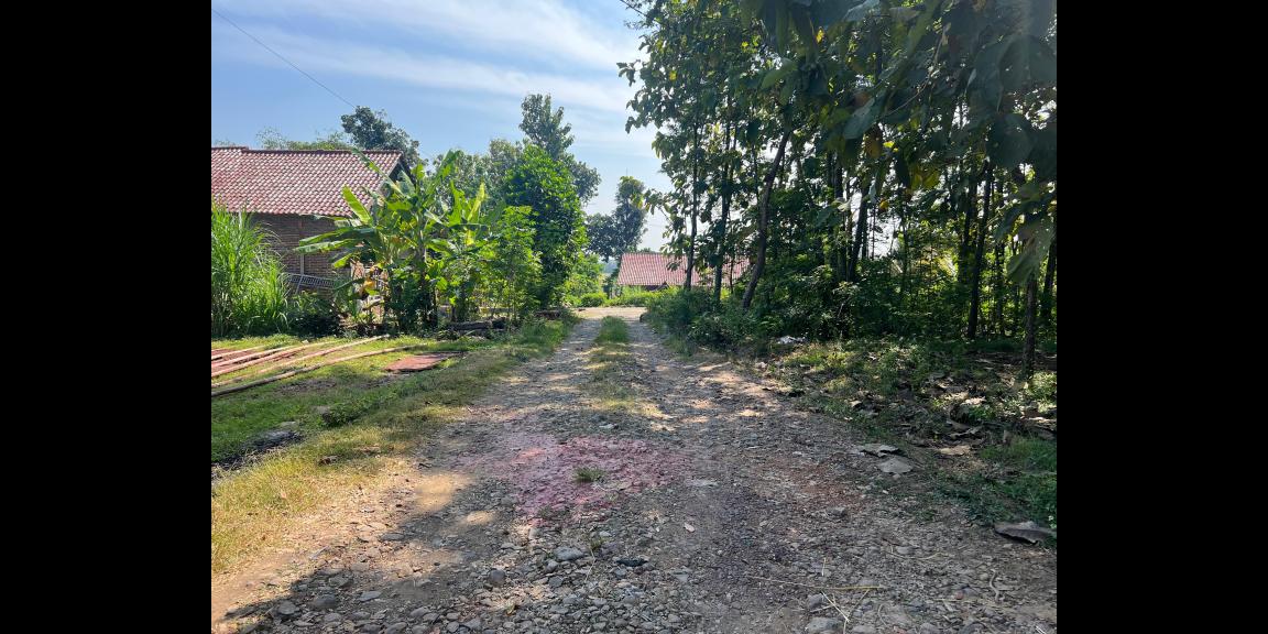 Tanah 100 Juta Cocok Untuk Kebun Buah Sragen Tanah 100 Juta Cocok Untuk Kebun Buah Sragen