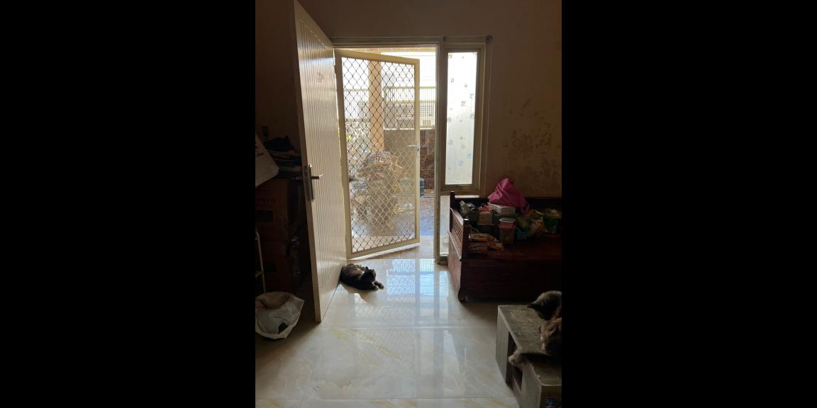 Rumah Murah Siap Huni di Perumahan Sentra Point Gunung Anyar Rungkut Rumah Murah Siap Huni di Perumahan Sentra Point Gunung Anyar Rungkut