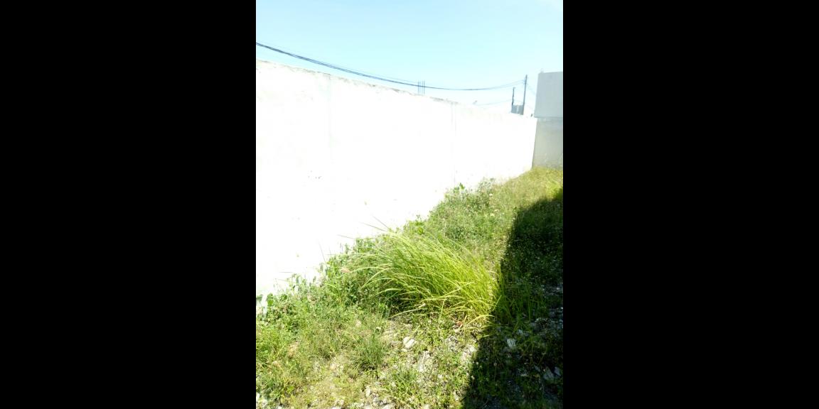 Rumah Minimalis Hook di Perumahan Alana Regency Tambakrejo Sidoarjo Siap Huni Rumah Minimalis Hook di Perumahan Alana Regency Tambakrejo Sidoarjo Siap Huni