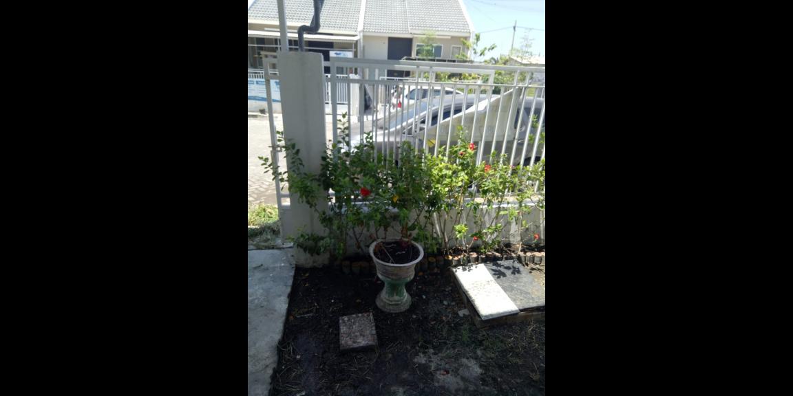 Rumah Minimalis Hook di Perumahan Alana Regency Tambakrejo Sidoarjo Siap Huni Rumah Minimalis Hook di Perumahan Alana Regency Tambakrejo Sidoarjo Siap Huni