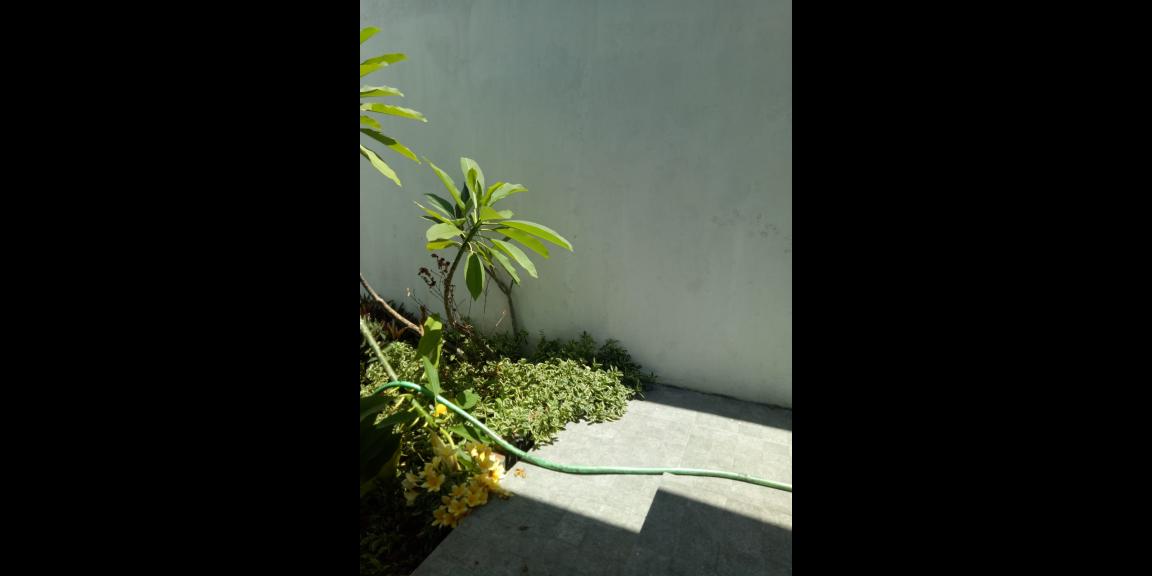 Rumah Minimalis Hook di Perumahan Alana Regency Tambakrejo Sidoarjo Siap Huni Rumah Minimalis Hook di Perumahan Alana Regency Tambakrejo Sidoarjo Siap Huni