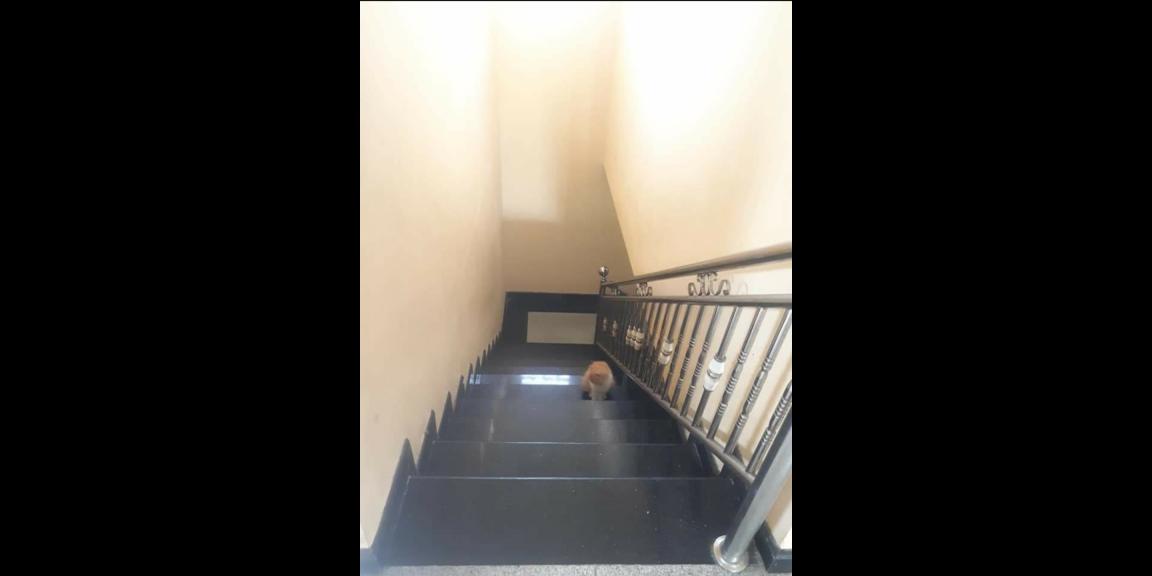 Dijual Rumah Siap Huni Lokasi Perumahan Pondok Benowo Indah Surabaya Barat Dijual Rumah Siap Huni Lokasi Perumahan Pondok Benowo Indah Surabaya Barat