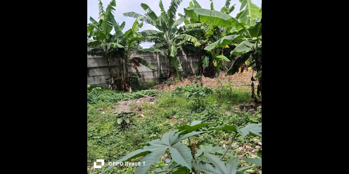 Dijual Gudang SHM di Raya Pondok Jagung, Tangerang Selatan Dijual Gudang SHM di Raya Pondok Jagung, Tangerang Selatan