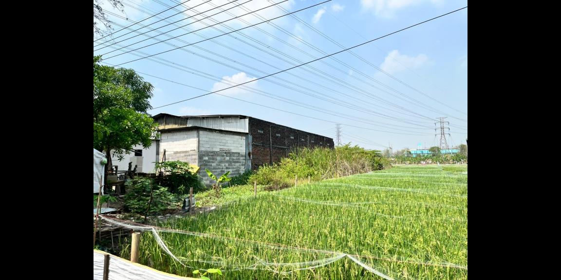 Dijual Gudang Luas 984 m2 di Raya Bangkingan, Surabaya Dijual Gudang Luas 984 m2 di Raya Bangkingan, Surabaya