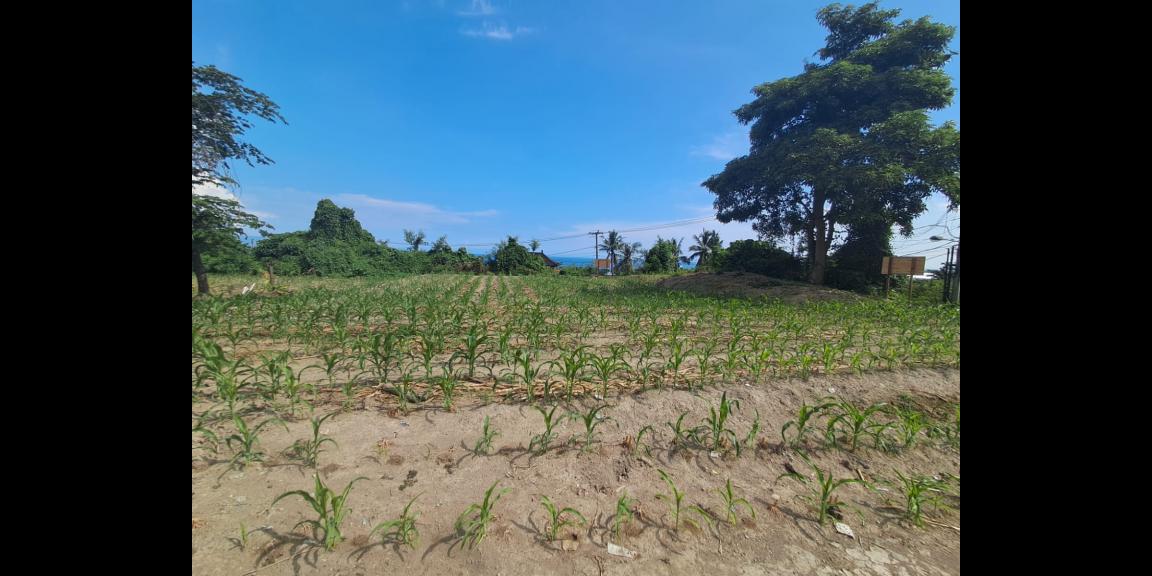 Dijual Tanah Strategis di Raya Ida Bagus Mantra Bypass, Gianyar Dijual Tanah Strategis di Raya Ida Bagus Mantra Bypass, Gianyar