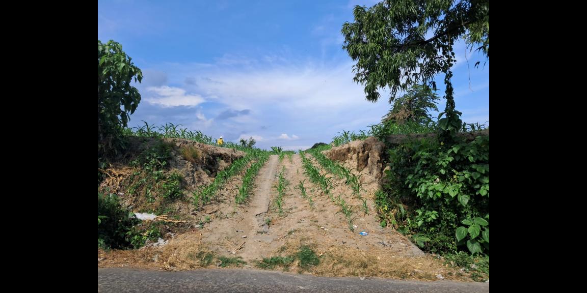 Dijual Tanah Strategis di Raya Ida Bagus Mantra Bypass, Gianyar Dijual Tanah Strategis di Raya Ida Bagus Mantra Bypass, Gianyar