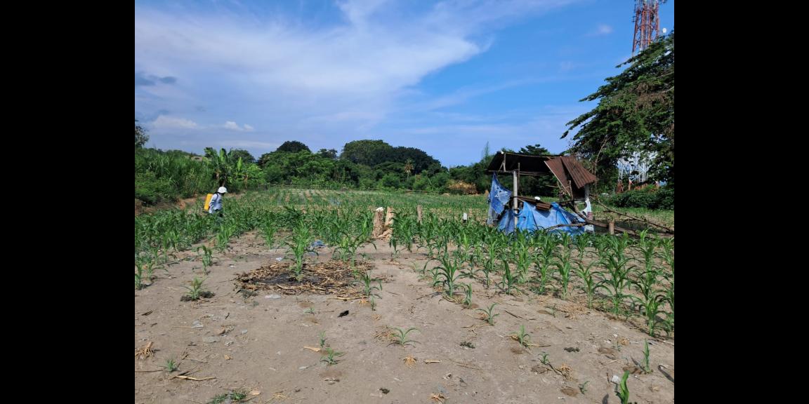 Dijual Tanah Strategis di Raya Ida Bagus Mantra Bypass, Gianyar Dijual Tanah Strategis di Raya Ida Bagus Mantra Bypass, Gianyar
