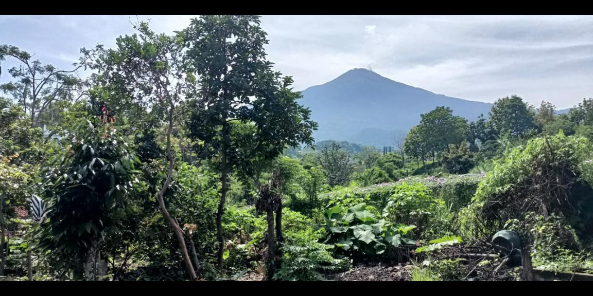 Dijual Rumah 1,5 Lantai di Raya Sajen, Pacet, Kabupaten Mojokerto Dijual Rumah 1,5 Lantai di Raya Sajen, Pacet, Kabupaten Mojokerto