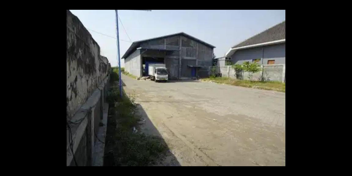 Disewakan Gudang di Raya Pacing, Kabupaten Mojokerto Disewakan Gudang di Raya Pacing, Kabupaten Mojokerto