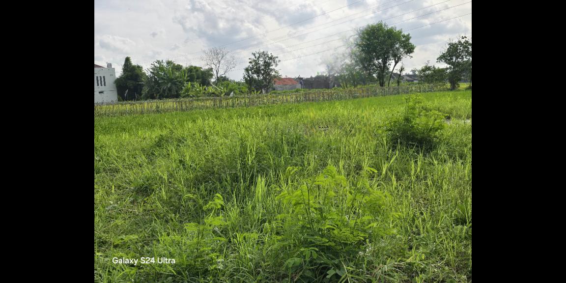 Dijual Tanah Kosong di Jalan Opak Raya, Sleman Dijual Tanah Kosong di Jalan Opak Raya, Sleman